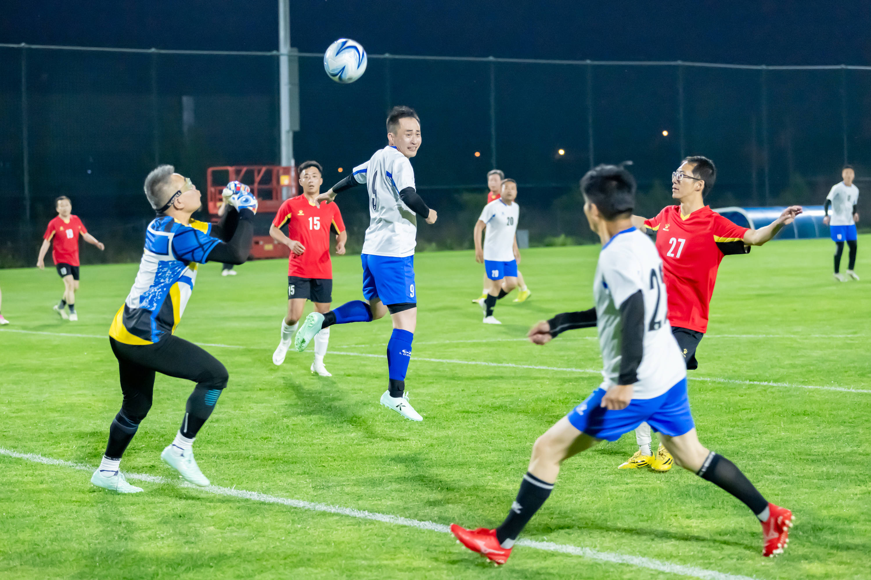 仅展示了中 仅展示了中