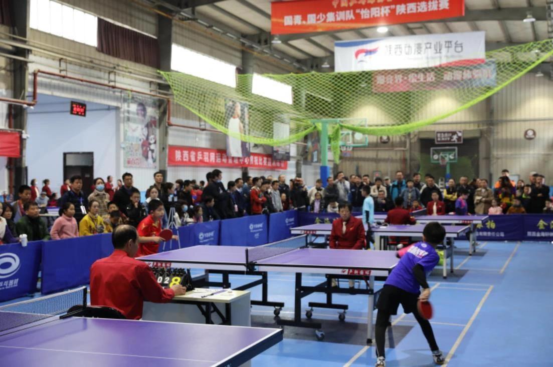 球队在赛季 球队在赛季